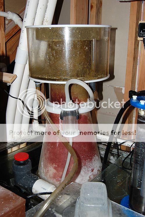 0349_Skimmer_zpscea6d901.jpg