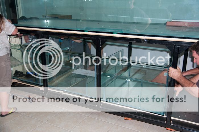 DSC_6919.jpg