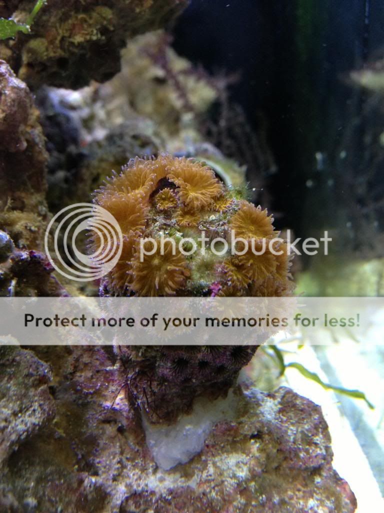 IMG_6706_zps9ab48e2a.jpg
