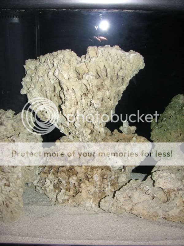 TankCuringRock5.jpg