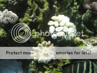 IMG_0981.jpg