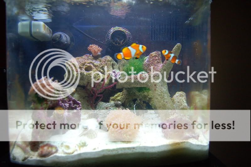 DSC_04362.jpg