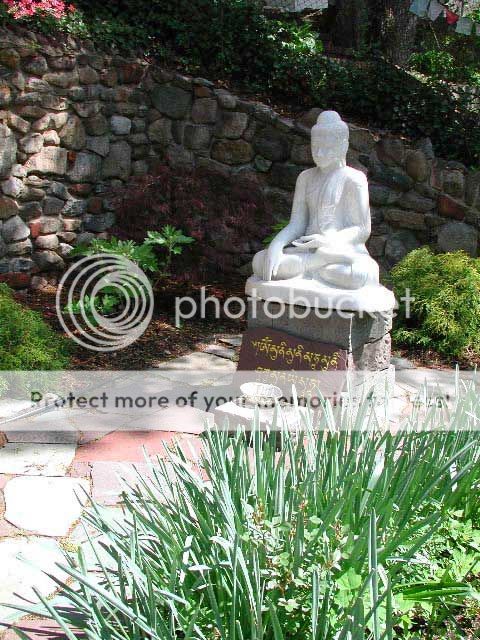 tibetan.jpg