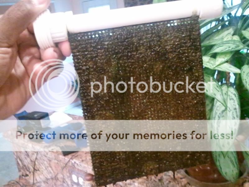 2012-04-26083111.jpg