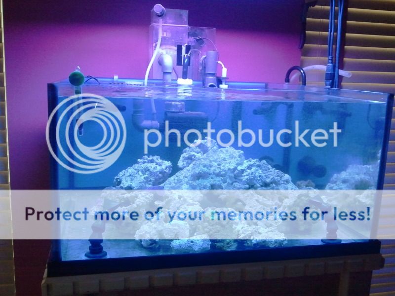 2012-08-30092621.jpg