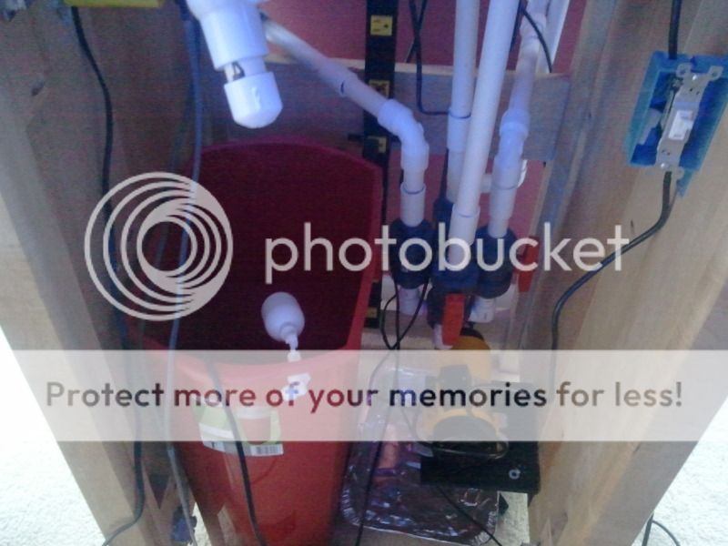 2012-08-30092640.jpg