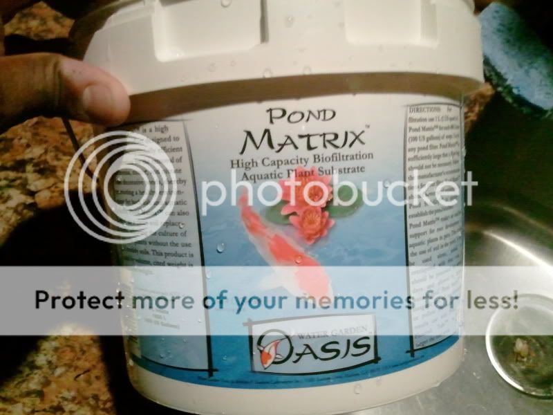 2012-10-22221958.jpg