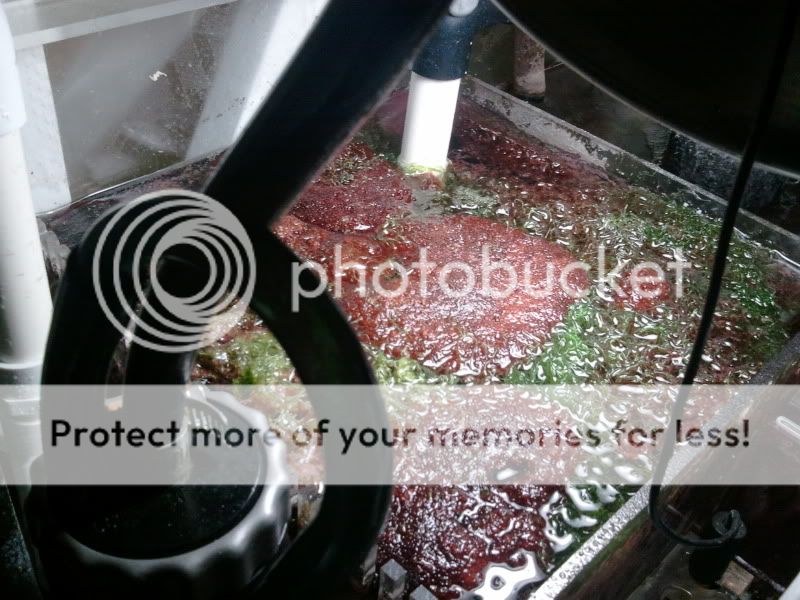 2012-10-22222111.jpg