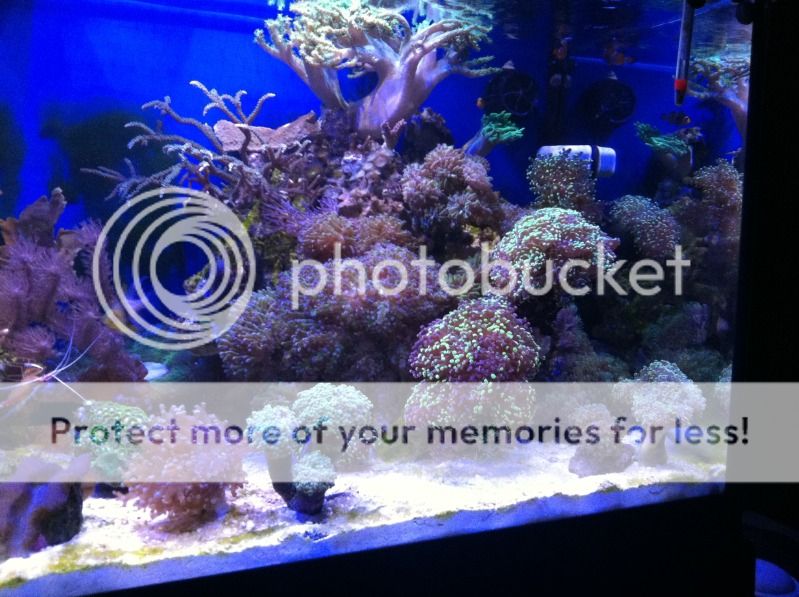 photo2-6.jpg
