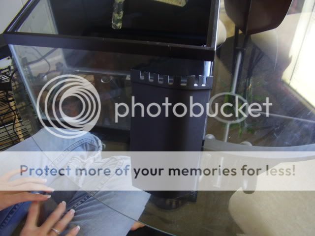 P7300267.jpg