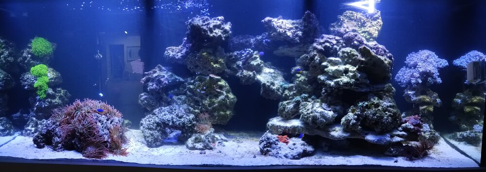 20250224_183635.jpg 20250224_183635.jpg