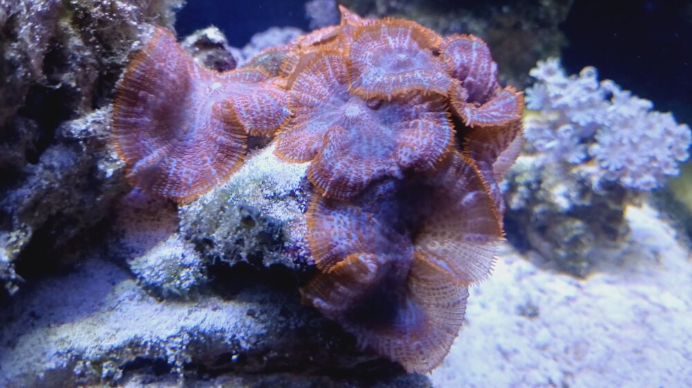 20250331_173912.jpg 20250331_173912.jpg