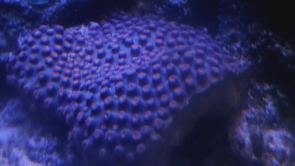 20250331_174104.jpg 20250331_174104.jpg