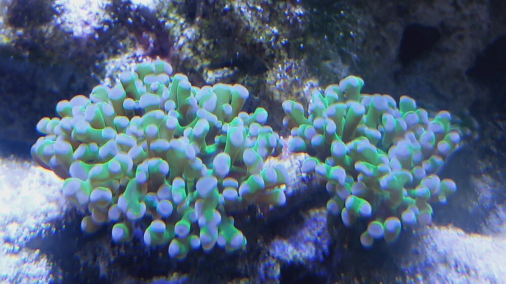 20250331_174222.jpg 20250331_174222.jpg