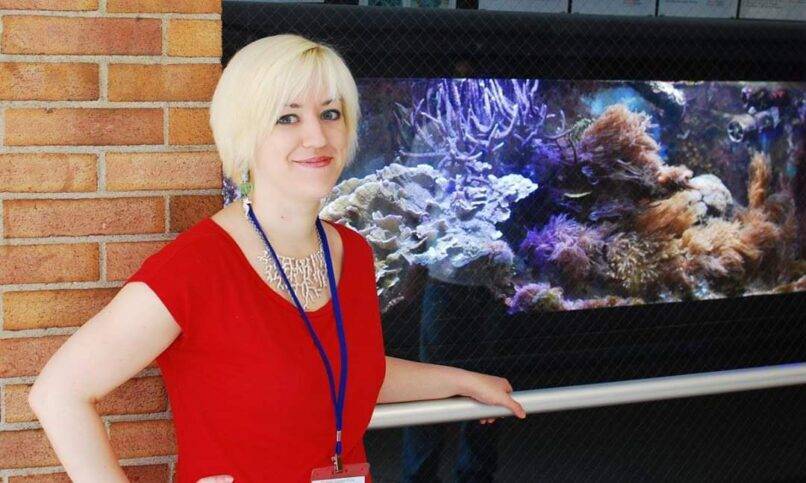 blog.marinedepot.com