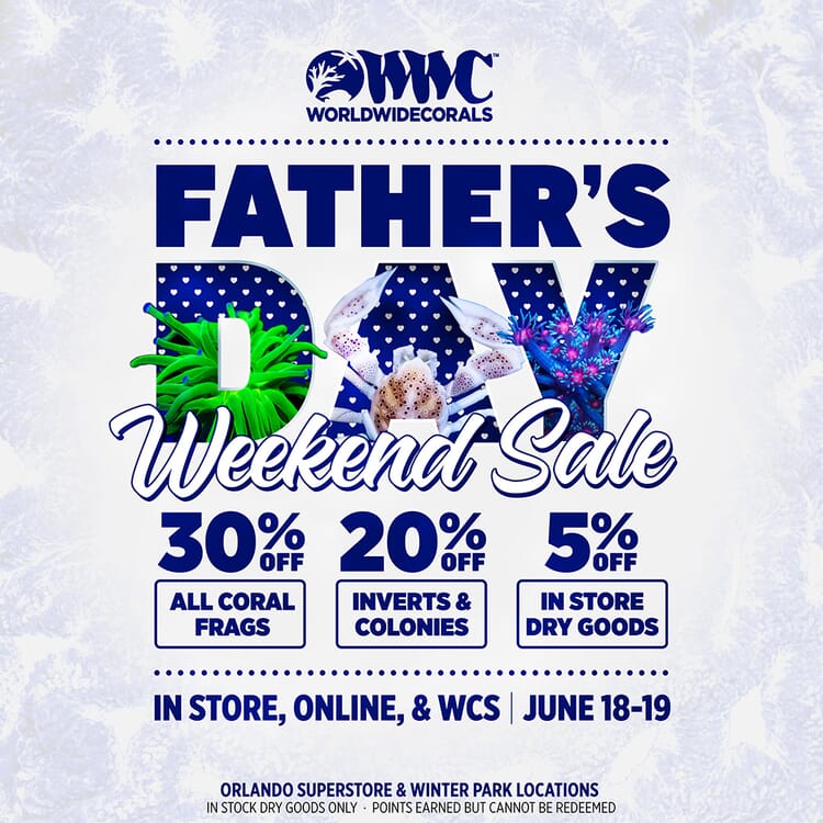 fathers-day-sale-01.jpg